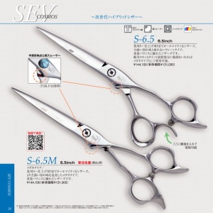 光 Sev S6.5/S6.5M