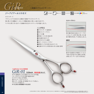 光 GiR-01