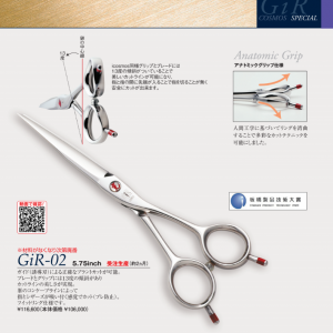 光 GiR-02