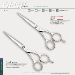 光 GENJI 523/524