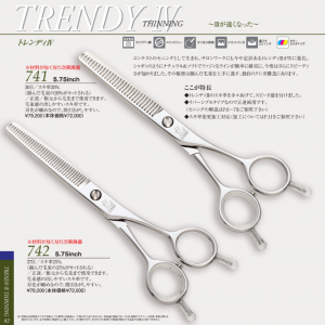 光 TRENDY-IV 741/742