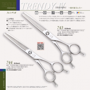 光 TRENDY-IV 743/744